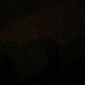 Meet your Posher, Alyanissanaa